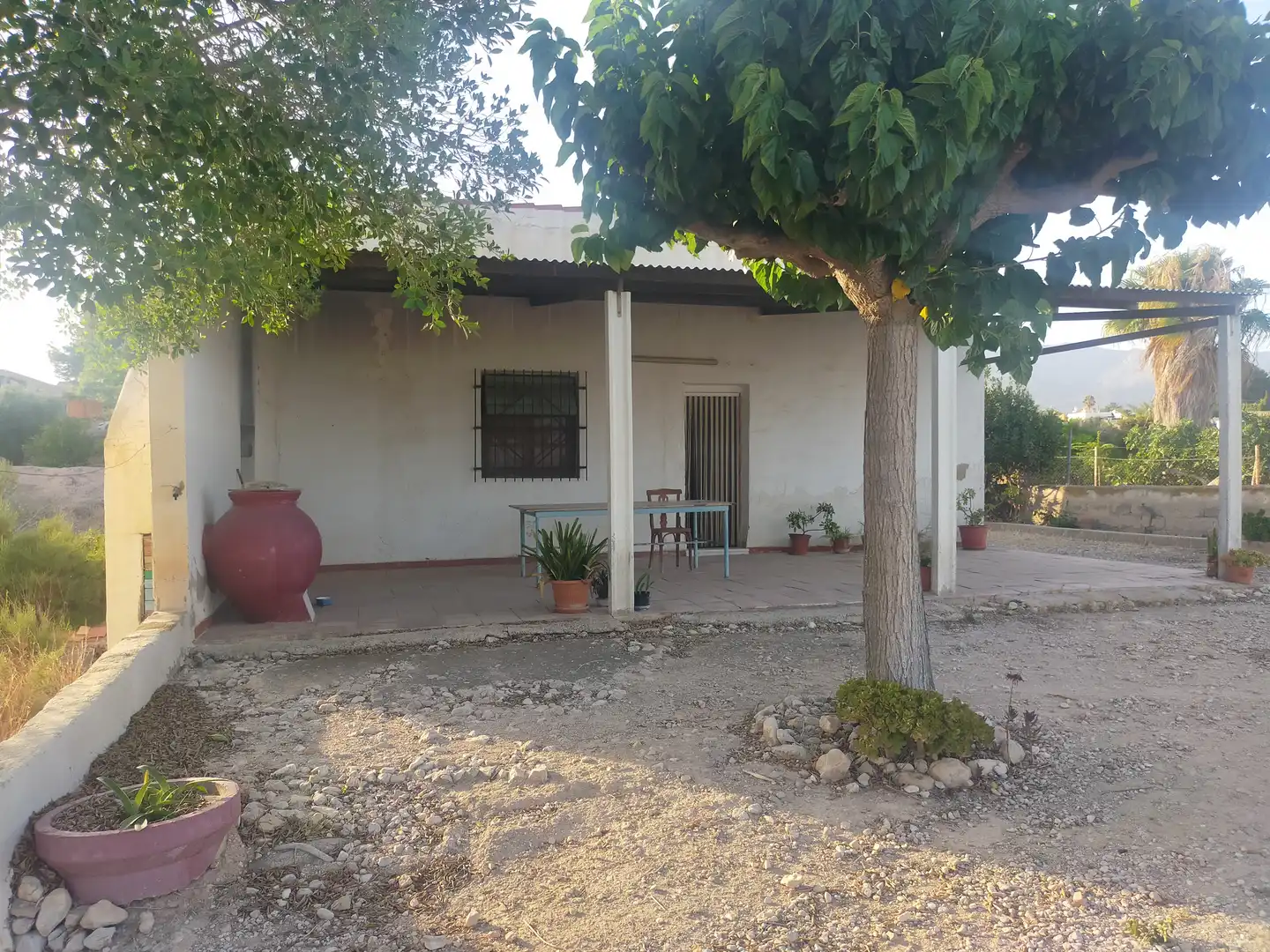 Vista exterior de Casa o chalet en venta en Albatera con Amueblado