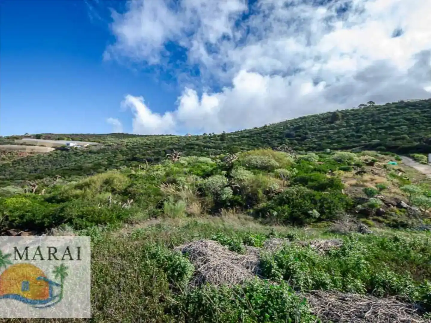 Terreno en venta en Puntagorda