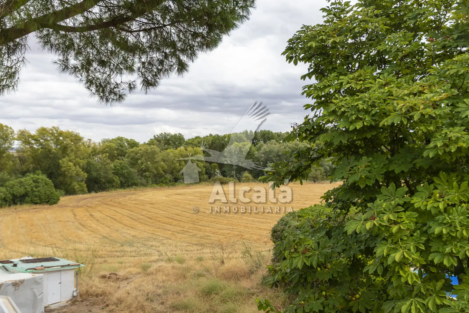 Haus oder Chalet zum Verkauf in El Molar (Madrid) mit Schwimmbad