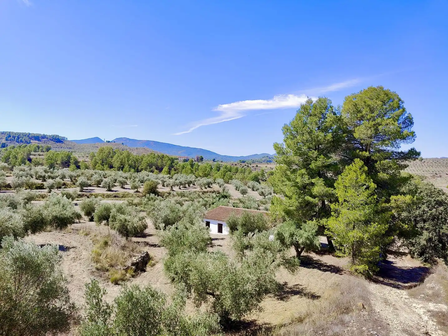 Houses for sale in Penàguila