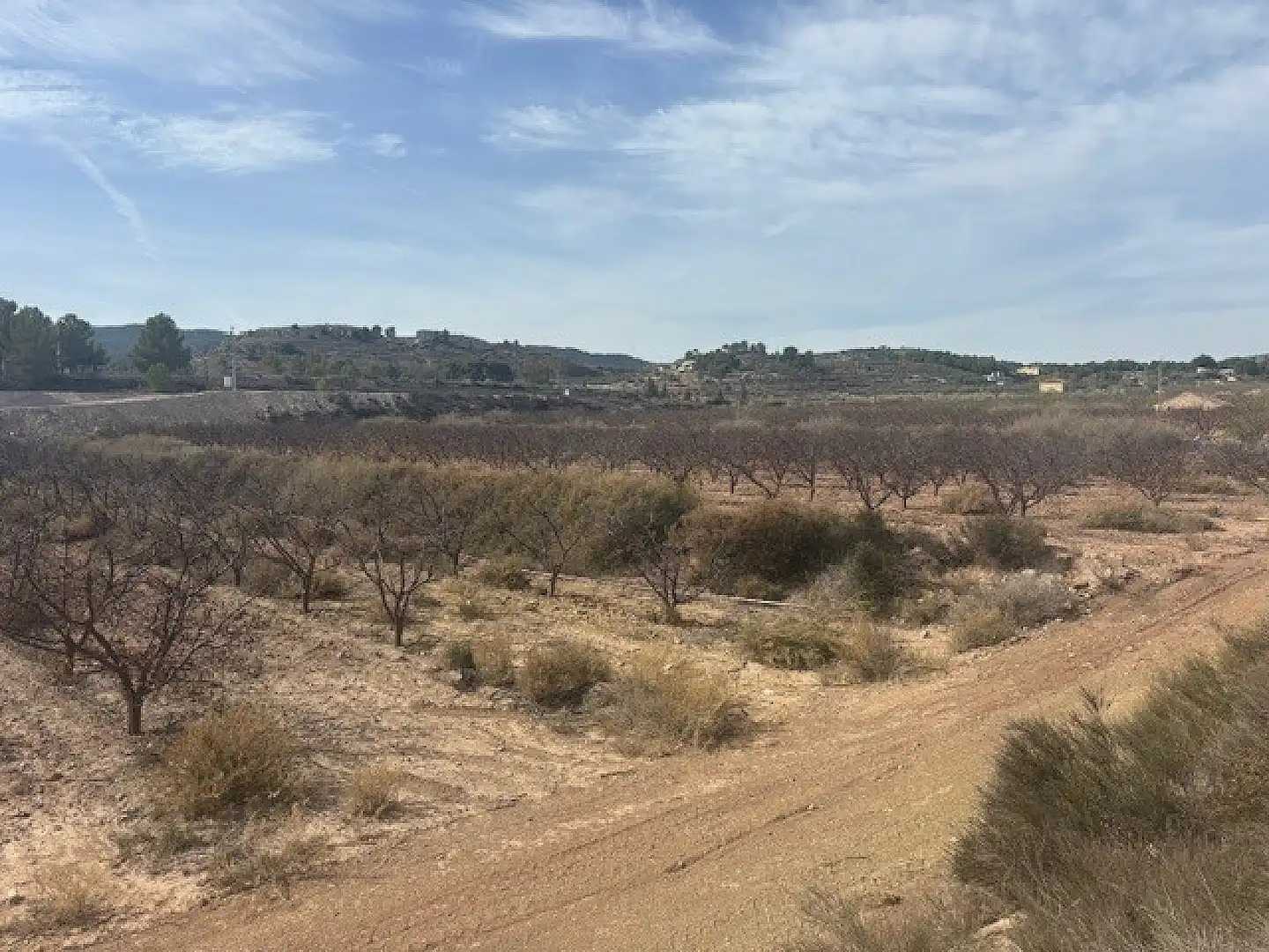Residential land for sale in Monóvar  / Monòver, imagen 5