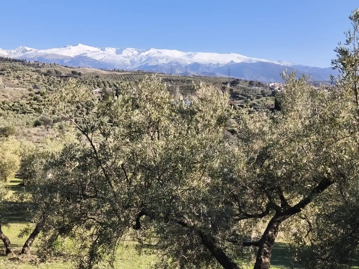 Lands and plots for sale in Alfacar, imagen 14
