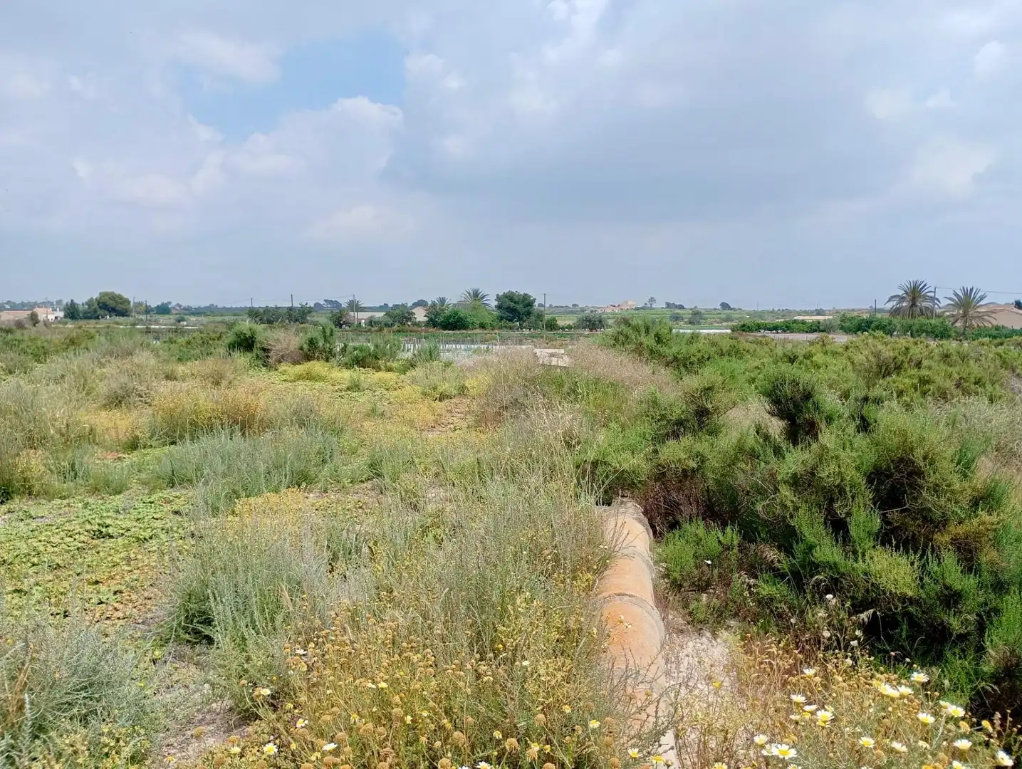 Casa o chalet en venta en Elche / Elx con Jardín privado y Trastero