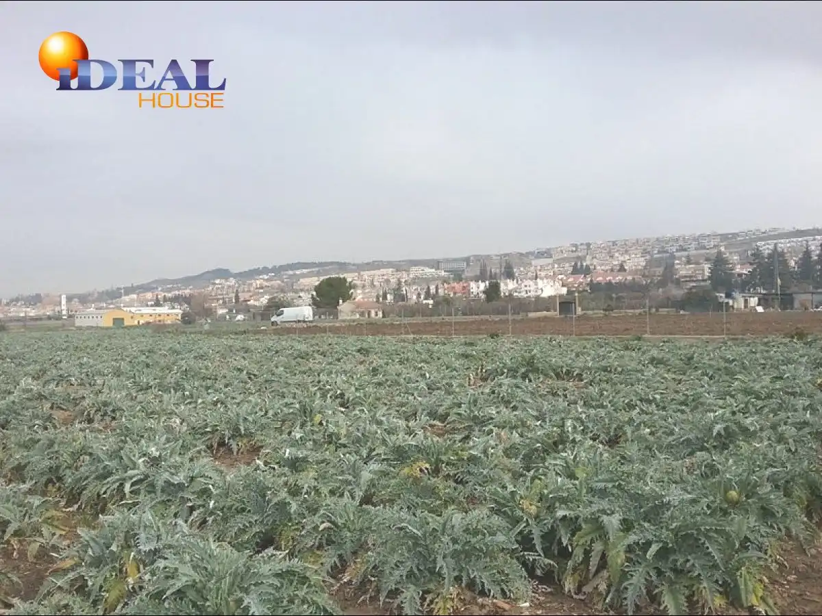 Finca rústica en venta en Campus de la Salud