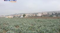 Finca rústica en venda en  Granada Capital