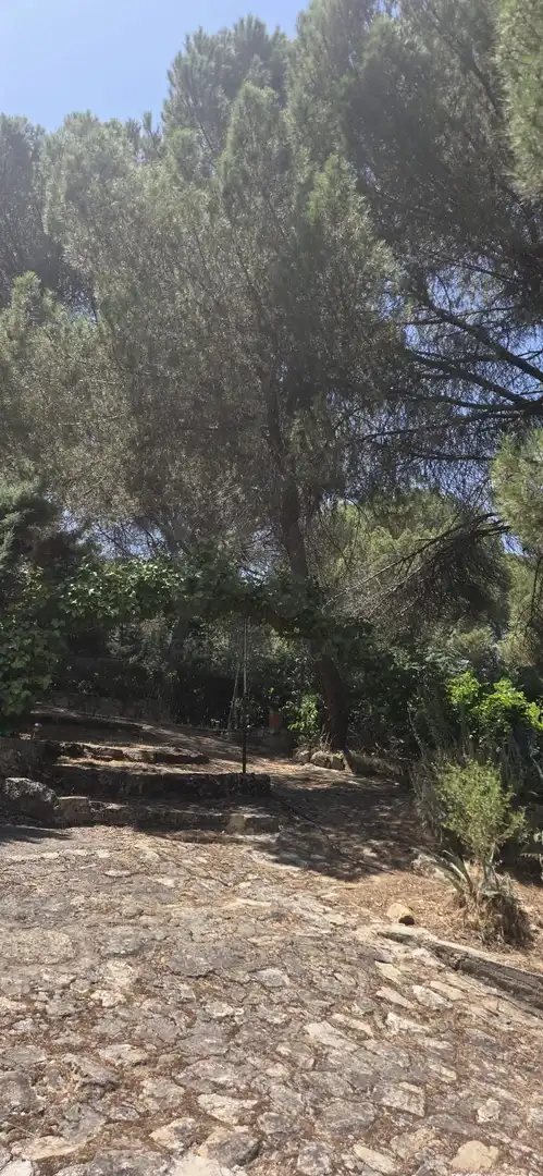 House with pool for sale in San Martín de Valdeiglesias, imagen 5