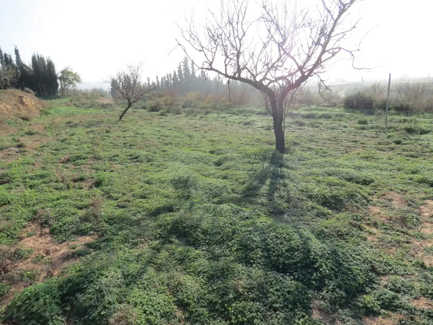 Terreni e lotti in vendita a Pedanías Oeste, imagen 11