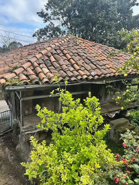 Casa amb jardí en venda a Lugar San Bartolome 4, imagen 26