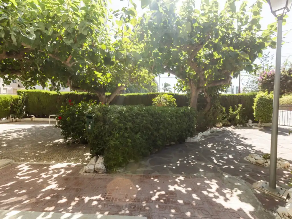 Apartament amb ascensor en venda a Calle Palmeral (El), imagen 49