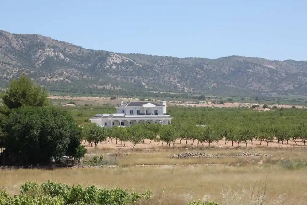 Casa en venda a El Pinós / Pinoso, imagen 16
