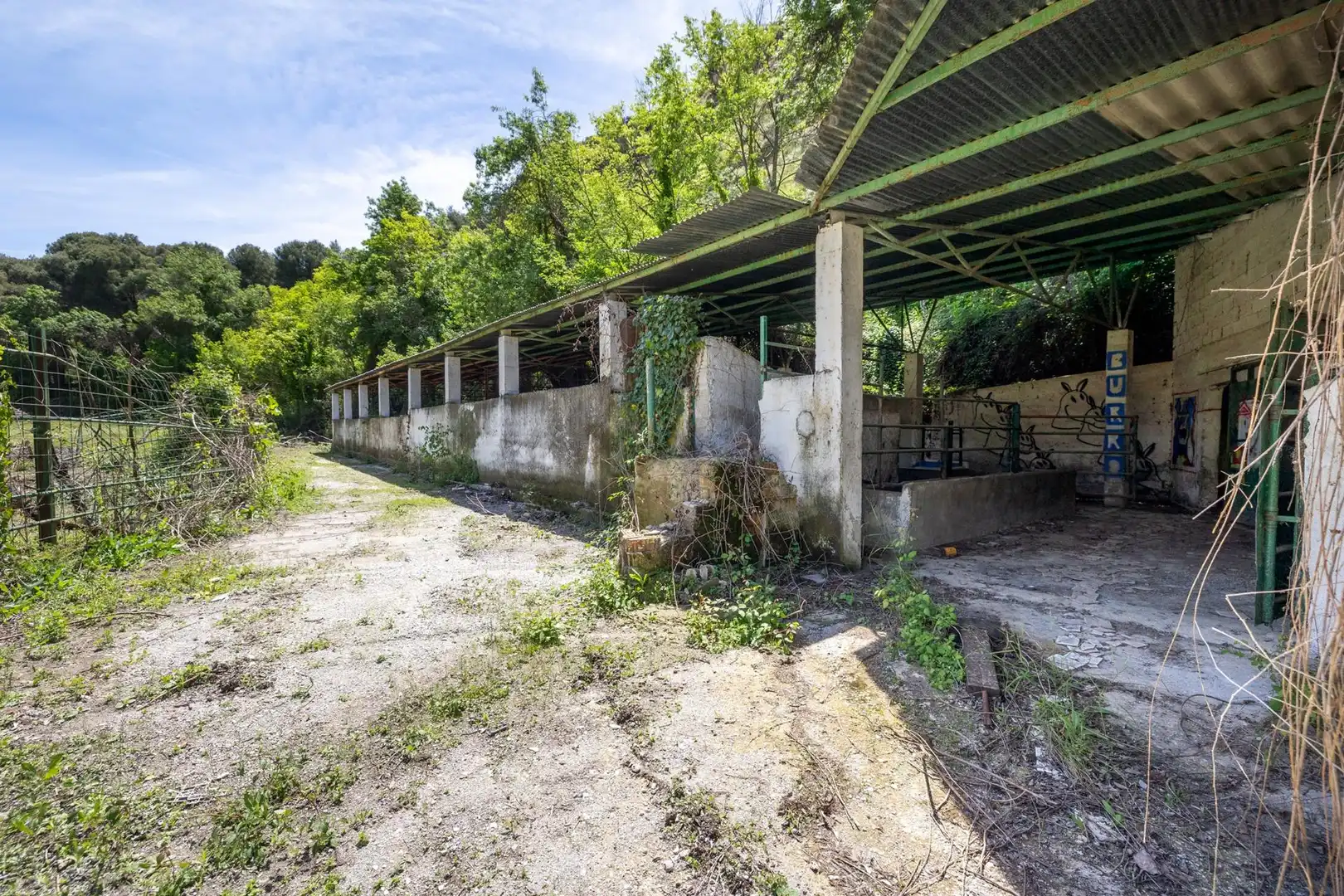 Terreni e lotti in vendita a Norte, imagen 6