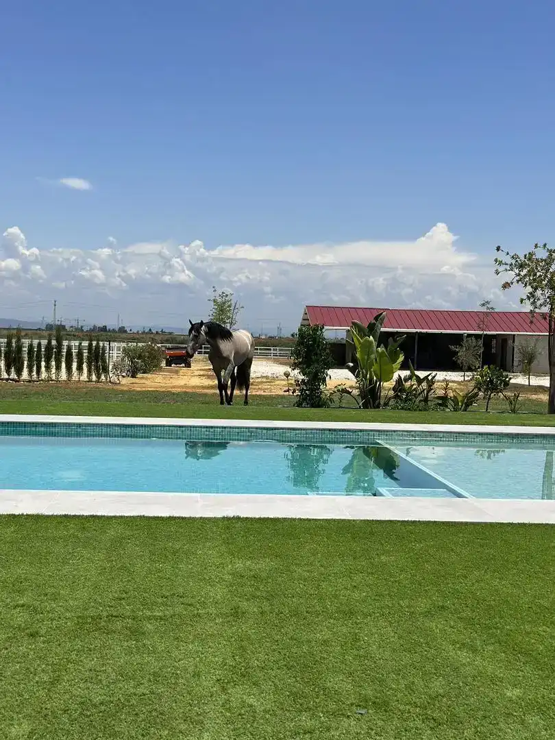 Schwimmbecken von Country house zum Verkauf in La Rinconada