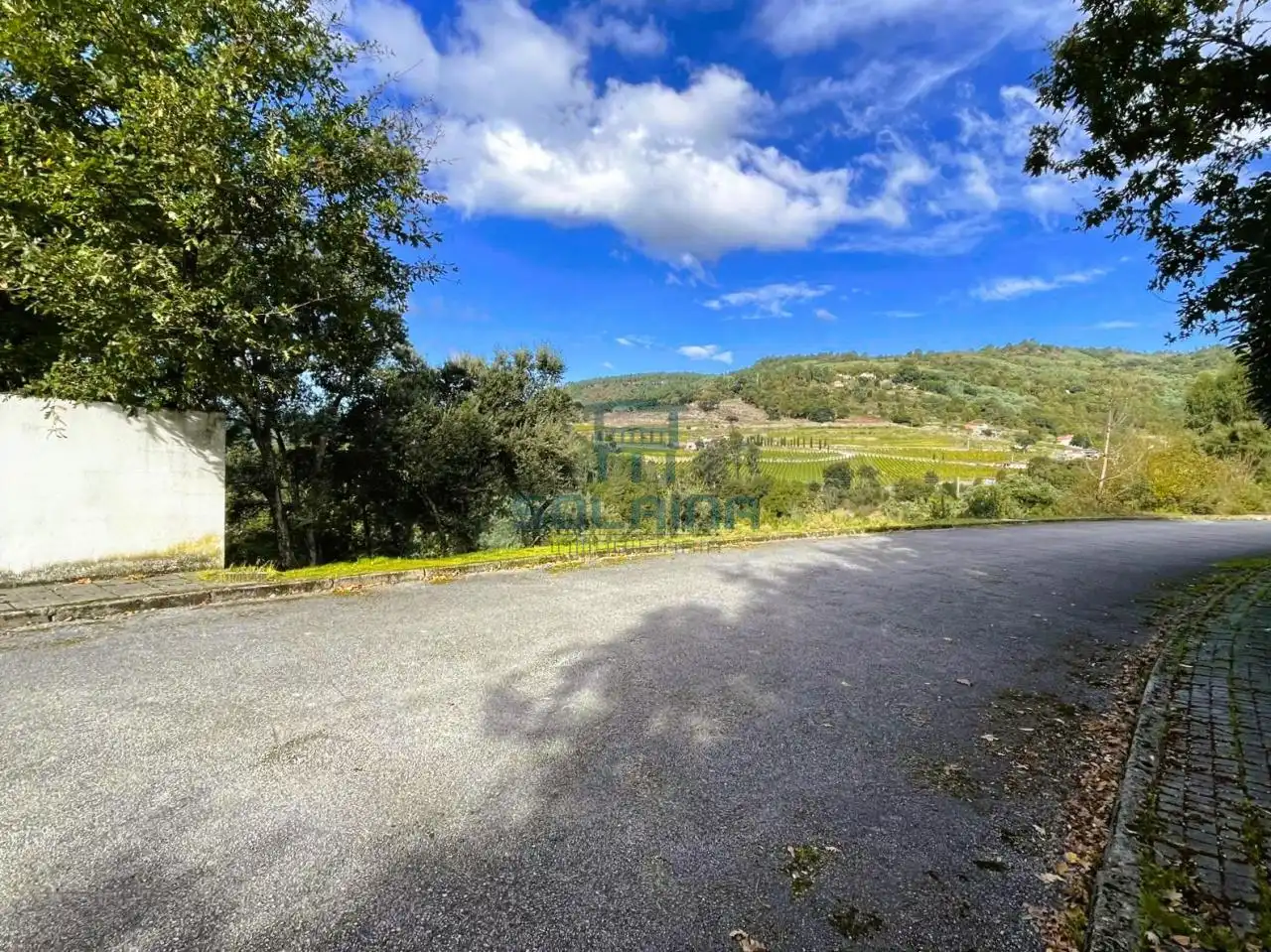 Terreni e lotti in vendita a San Rosendo, imagen 8