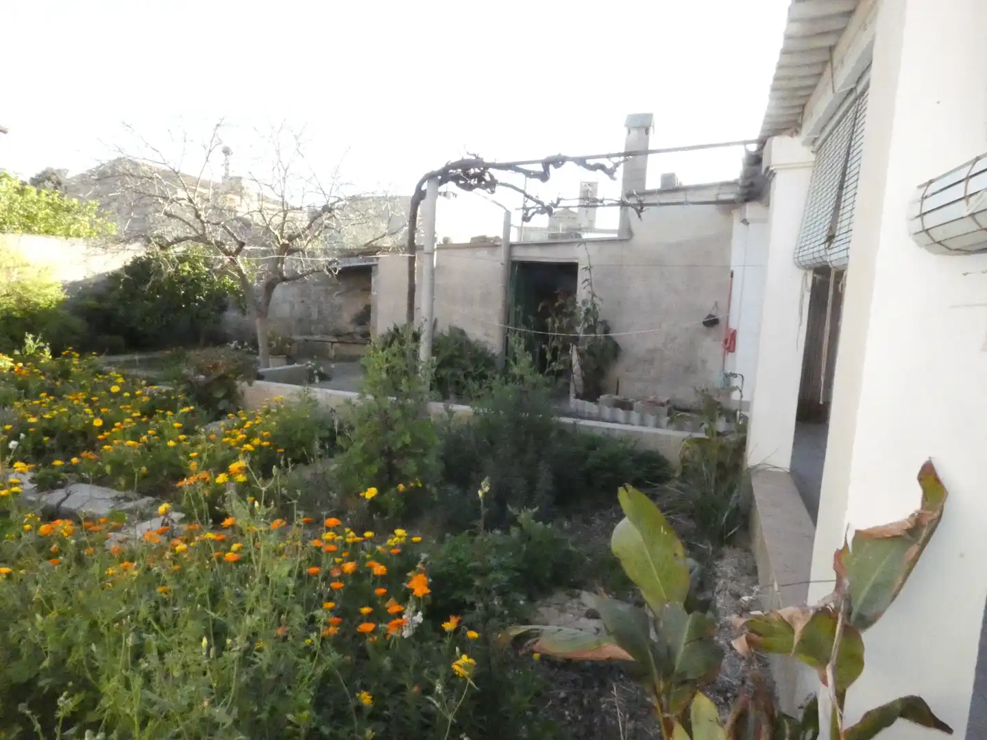 House with garden for sale in Ariany, imagen 11