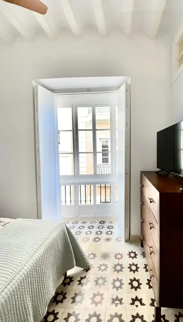 Flat with terrace for sale in Alameda - Mentidero - Teatro Falla, imagen 13