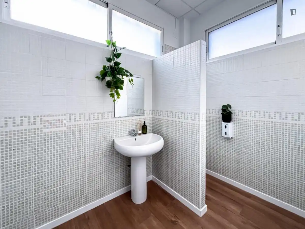 Room in Sol y Luz