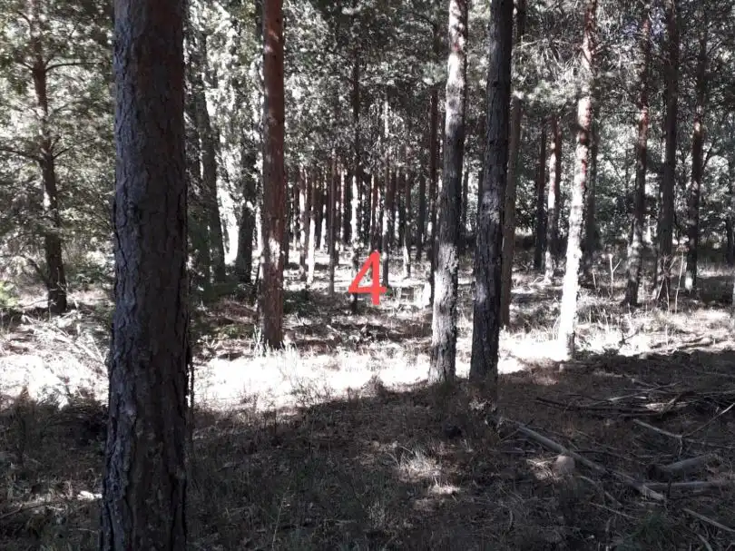 Terreno en venta en Nava de Francia