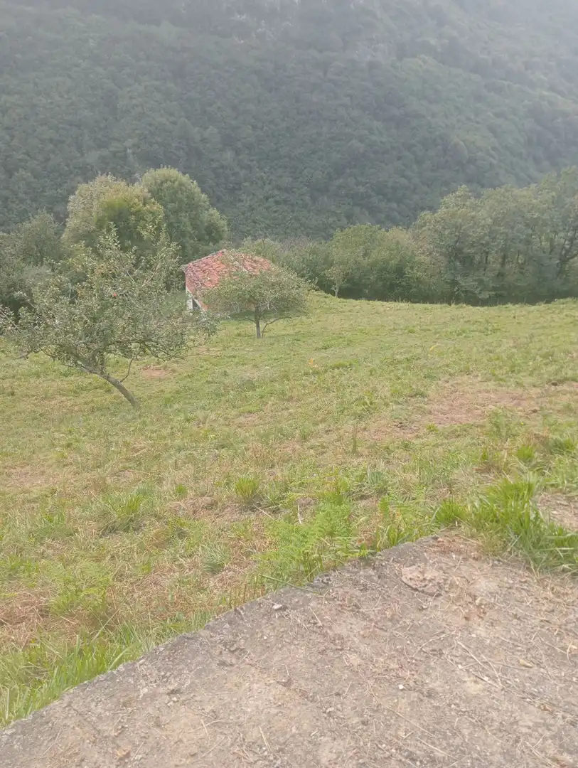 Terreno rustico in vendita a Onís, imagen 4