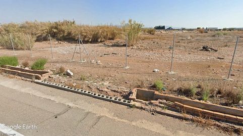 FINCA DE REGADÍO CON POSIBILIDAD DE VIVIENDA