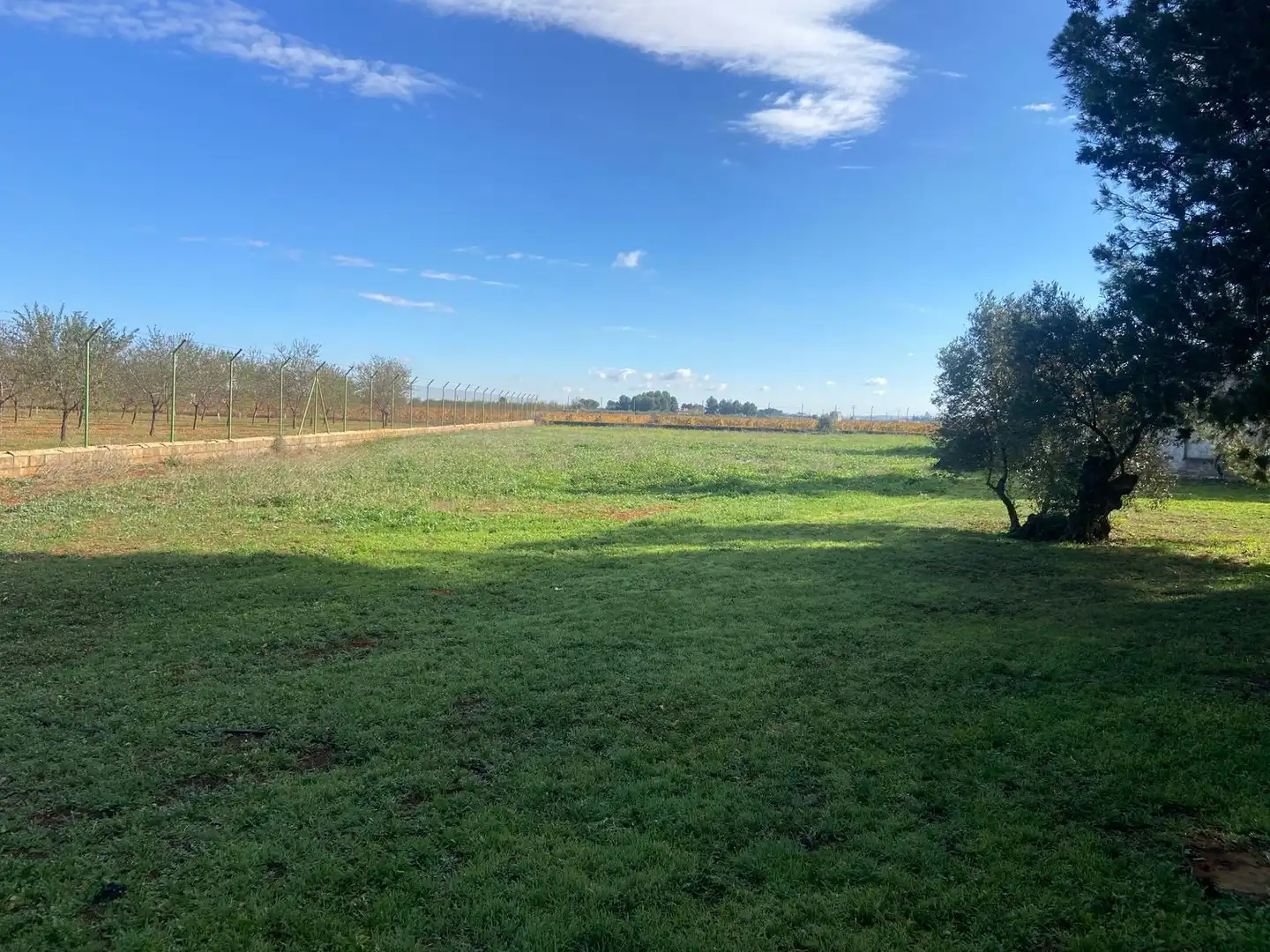Casa o chalet en venta en Almagro con Aire acondicionado, Calefacción y Jardín privado
