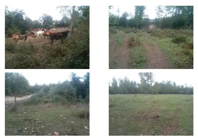 Rural land for sale in Medina de Pomar, imagen 7
