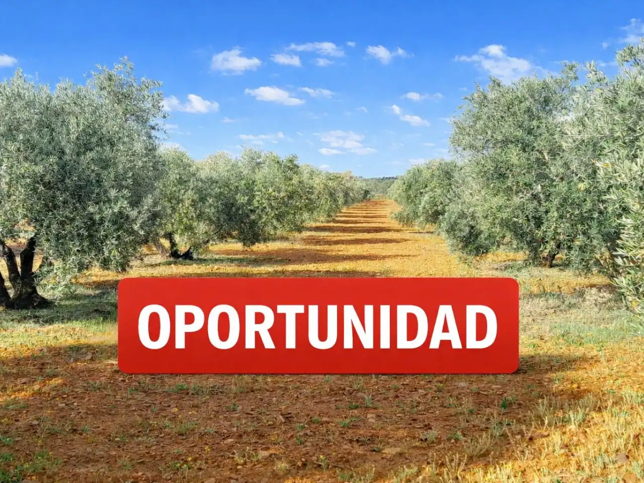 Exterior view of Land for sale in Valdepeñas