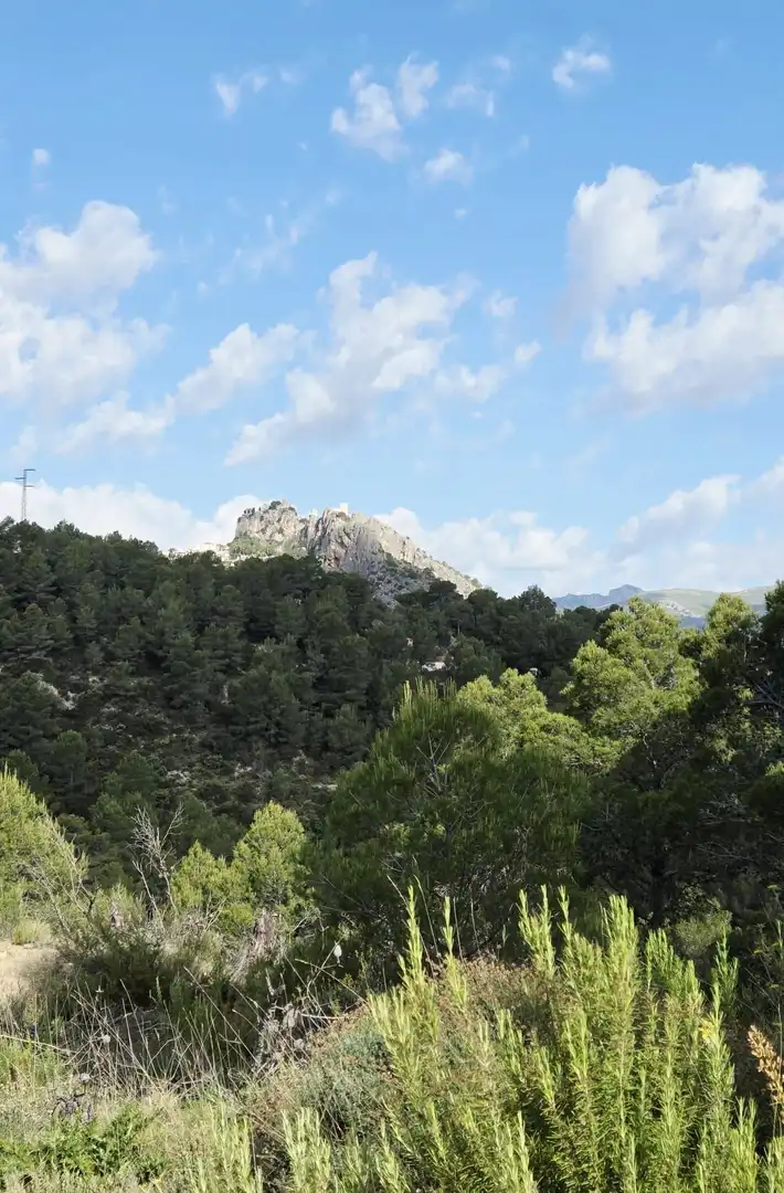 Grundstücke und Bauplätze zum Verkauf in El Castell de Guadalest, imagen 14
