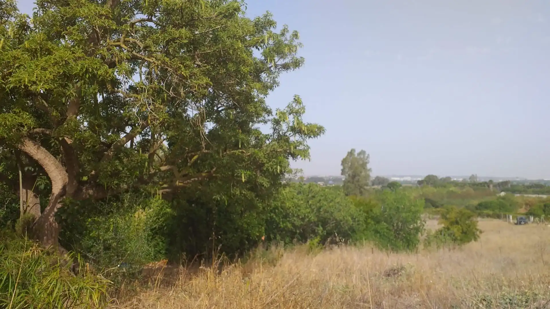 Rural land for sale in El Rocío - La Milagrosa, imagen 12