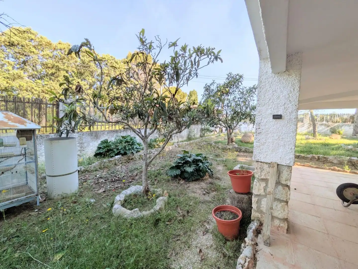Jardí de Casa o xalet en venda en Escopete