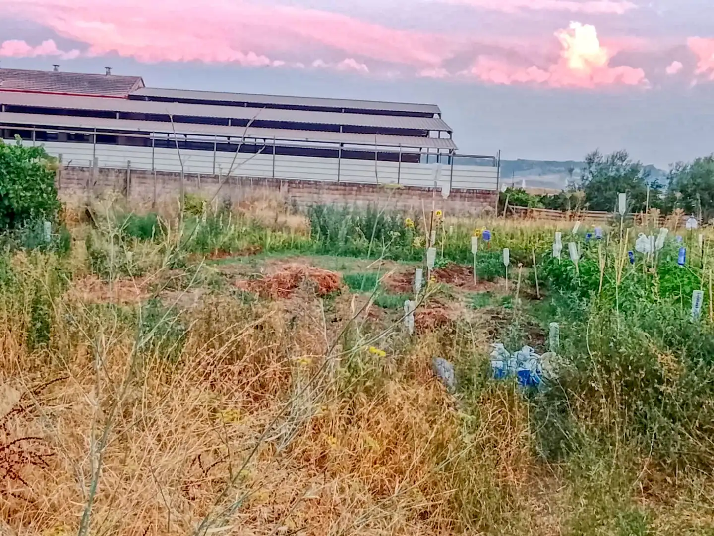 Terreno residenziale in vendita a Ur La Morena 8, imagen 7
