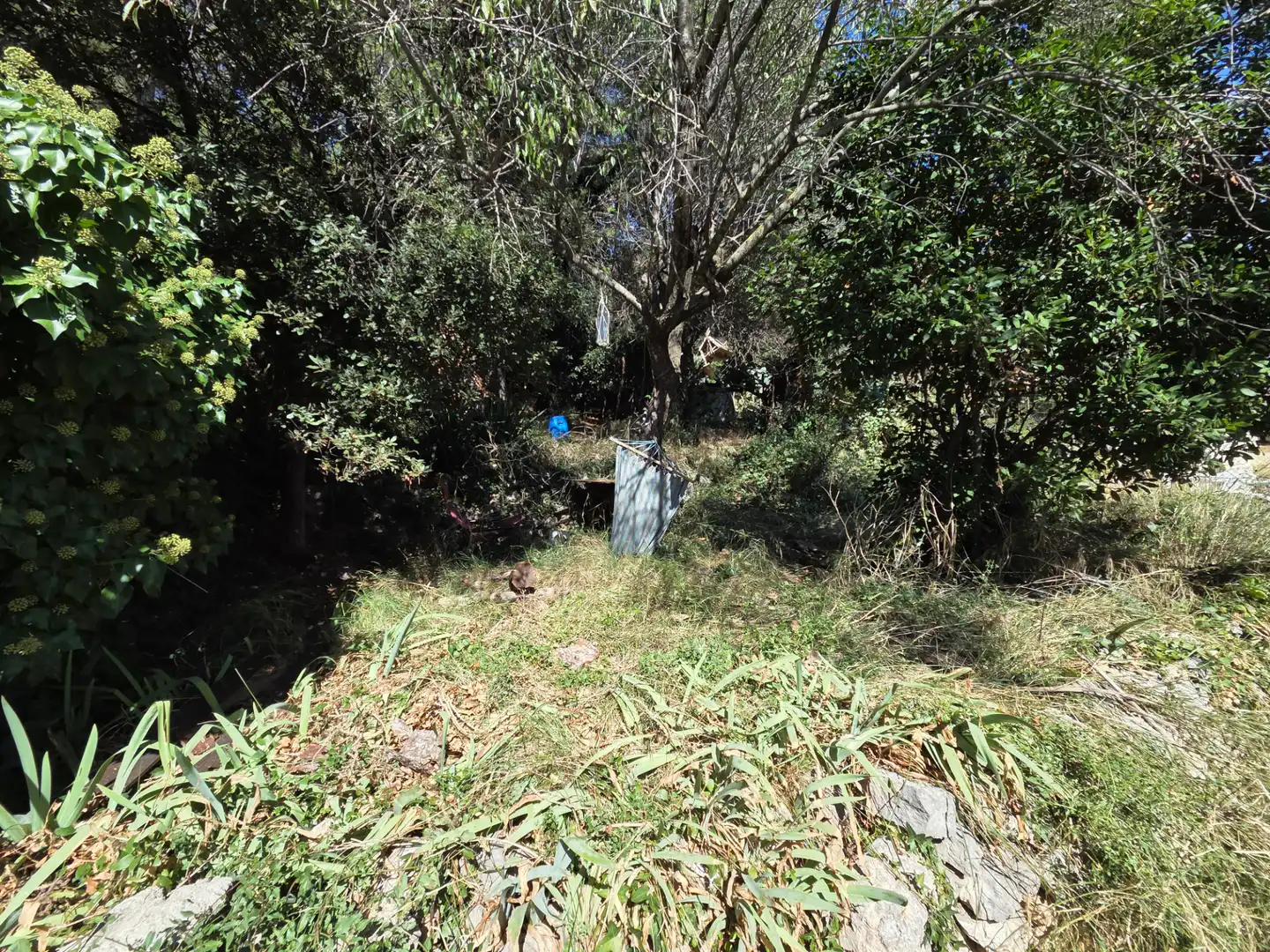 Detached homes for sale in Mediona  with Private garden, Terrace and Storage room