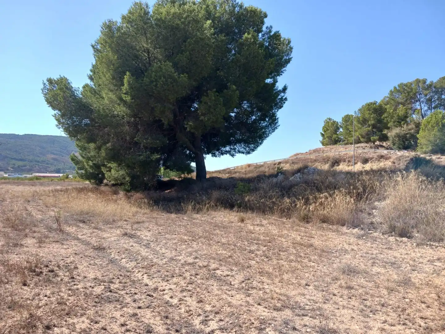 Wohnbaugrundstück zum Verkauf in El Pinós / Pinoso, imagen 8