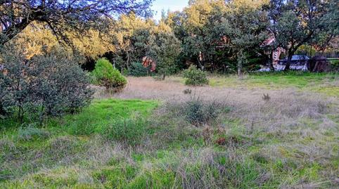 Photo 3 of Residential for sale in Raya del Palancar - Guadamonte, Madrid