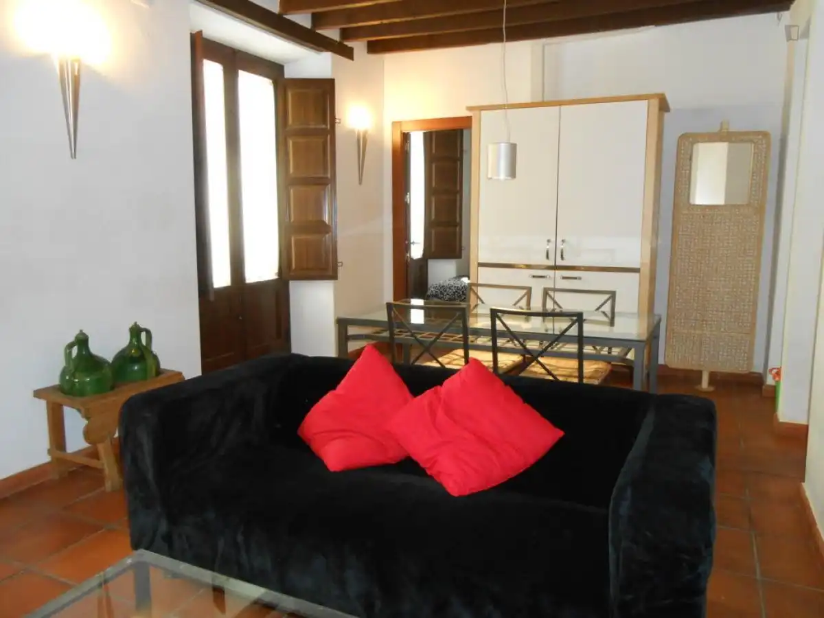 Apartments for rent in Centro - Sagrario