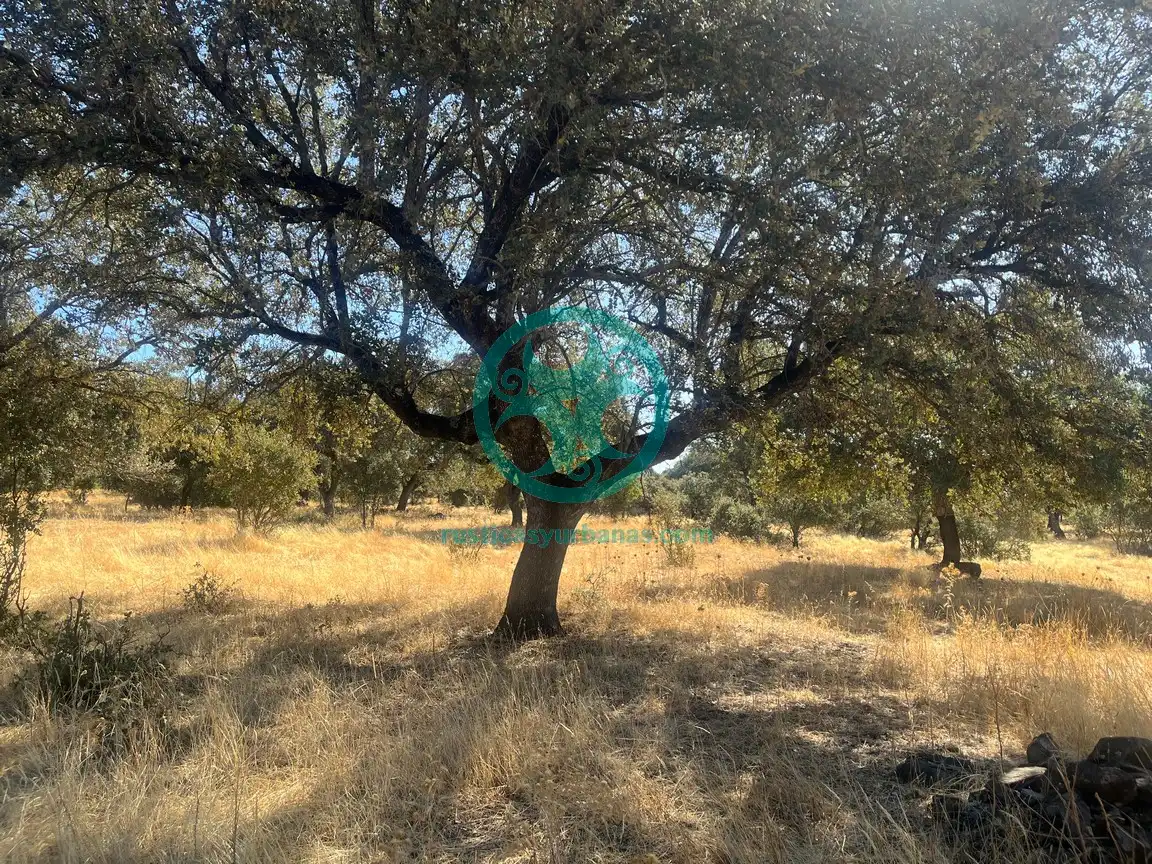 Terreni e lotti in vendita a Valdesalor - Rincón de Ballesteros, imagen 7