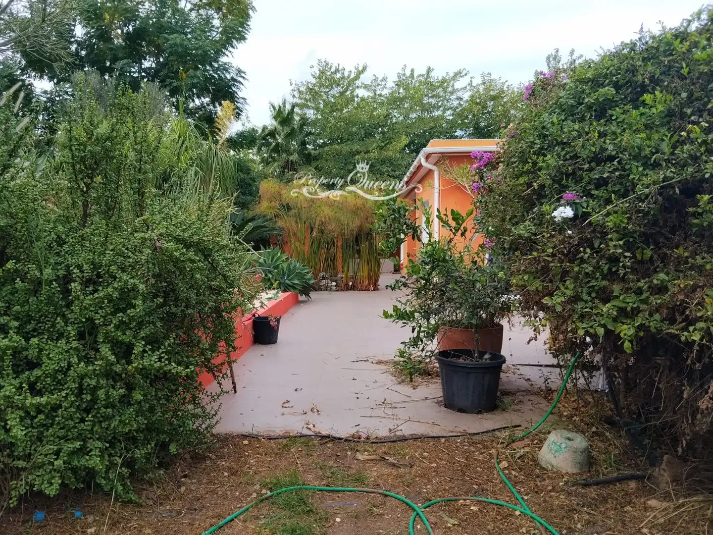 Terreny rústic en venda a Punta Plata, imagen 27