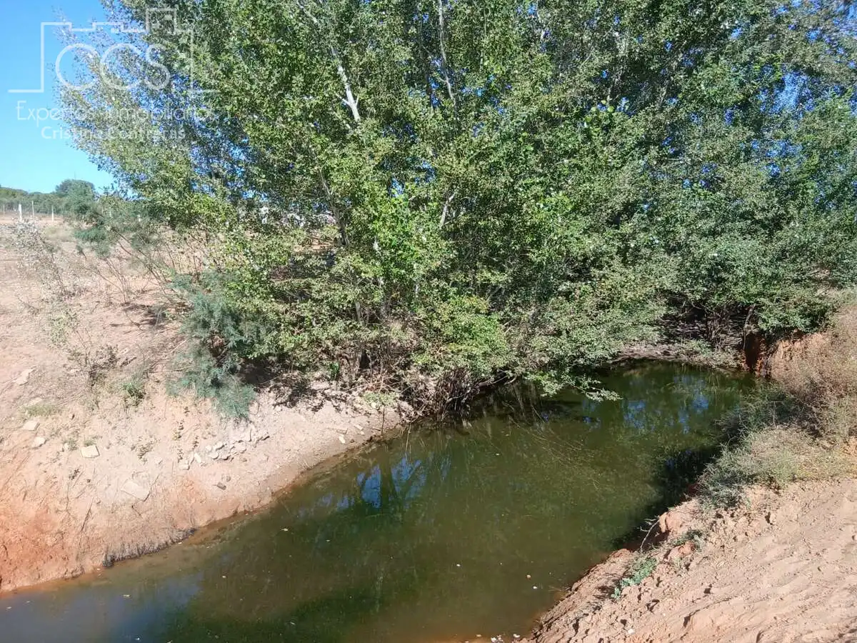 Terreni e lotti in vendita a Almonte ciudad, imagen 2