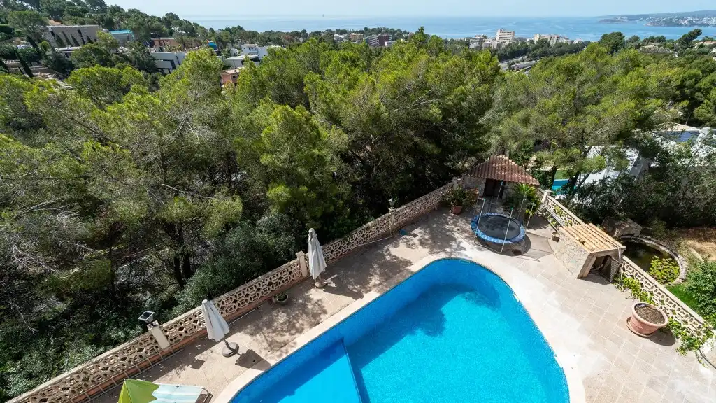 Piscina de Casa o xalet en venda en Calvià amb Aire condicionat, Calefacció i Jardí privat