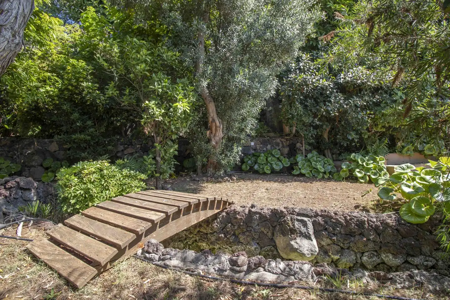 Jardí de Casa adosada en venda en Santa Úrsula amb Jardí privat, Terrassa i Piscina