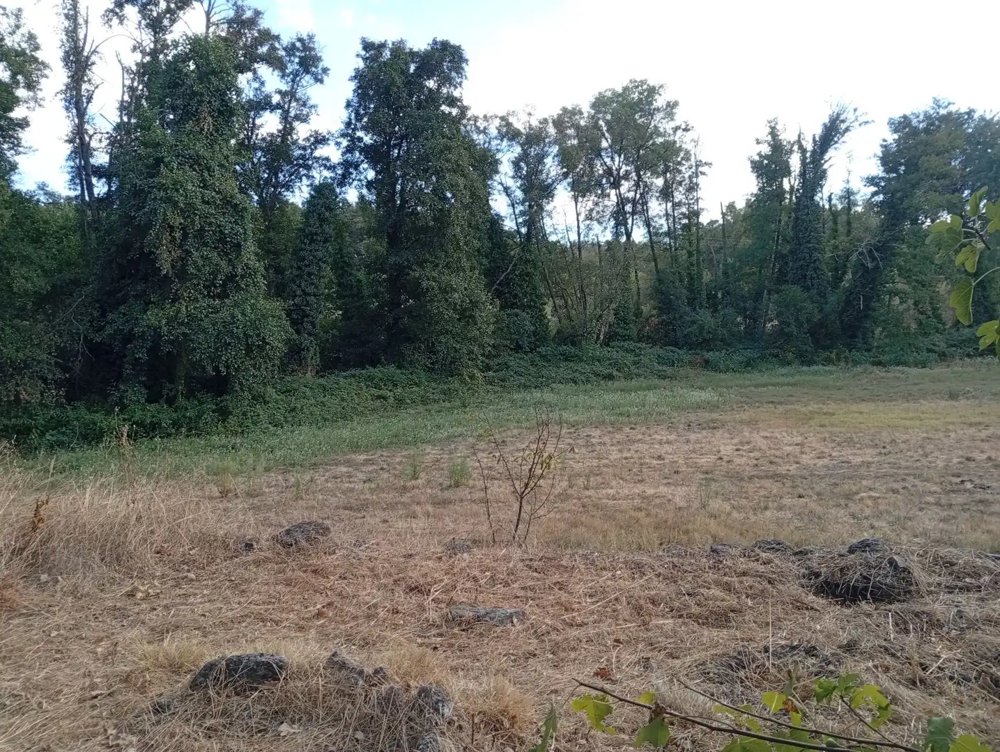 Terreni e lotti in vendita a Villanueva de la Vera, imagen 52