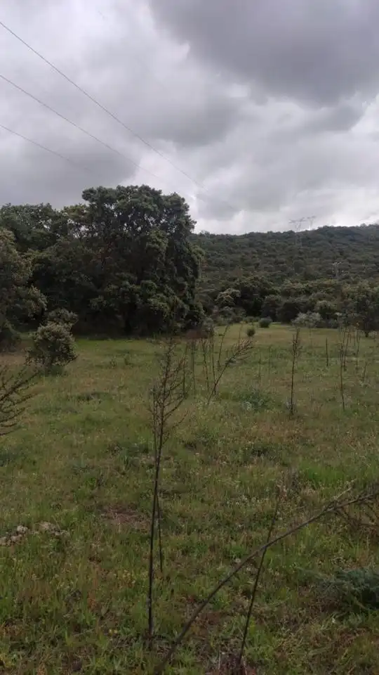 Terreni e lotti in vendita a Valle del Jerte, imagen 2