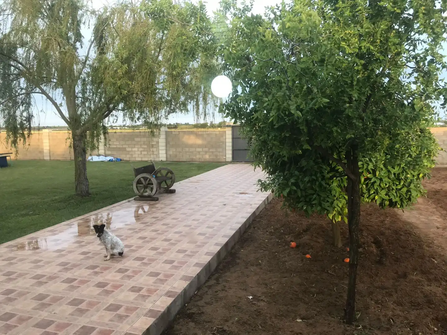 Jardí de Terreny en venda en Chipiona Norte