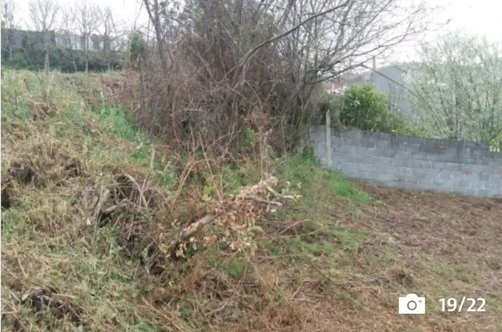 Maison à vendre à Melide, imagen 19