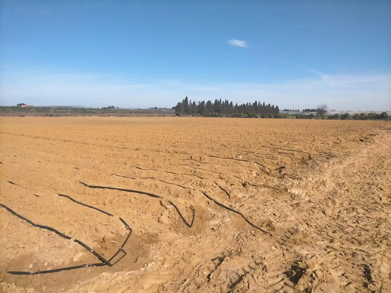 Terreni e lotti in vendita a La Loma Baja, imagen 5