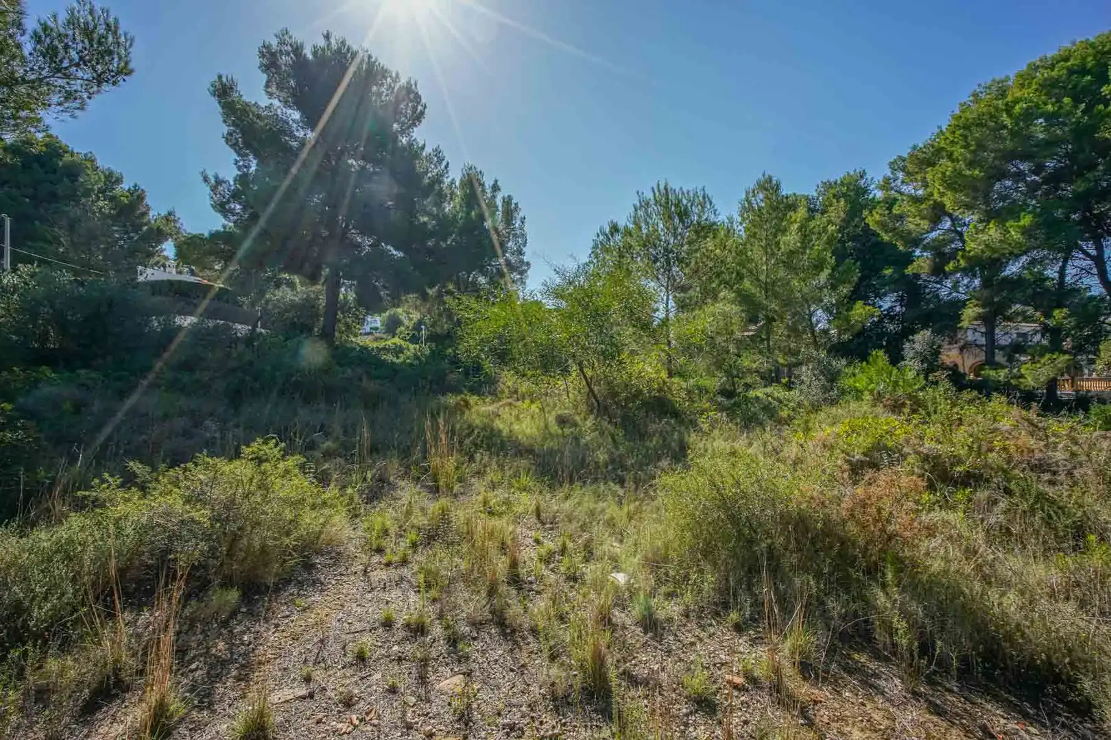 Residential land for sale in Centro ciudad, imagen 8