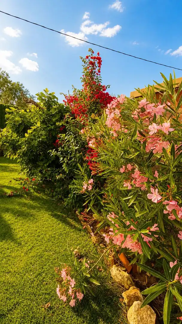 Jardín de Casa o chalet de alquiler en Chiva con Aire acondicionado, Calefacción y Terraza