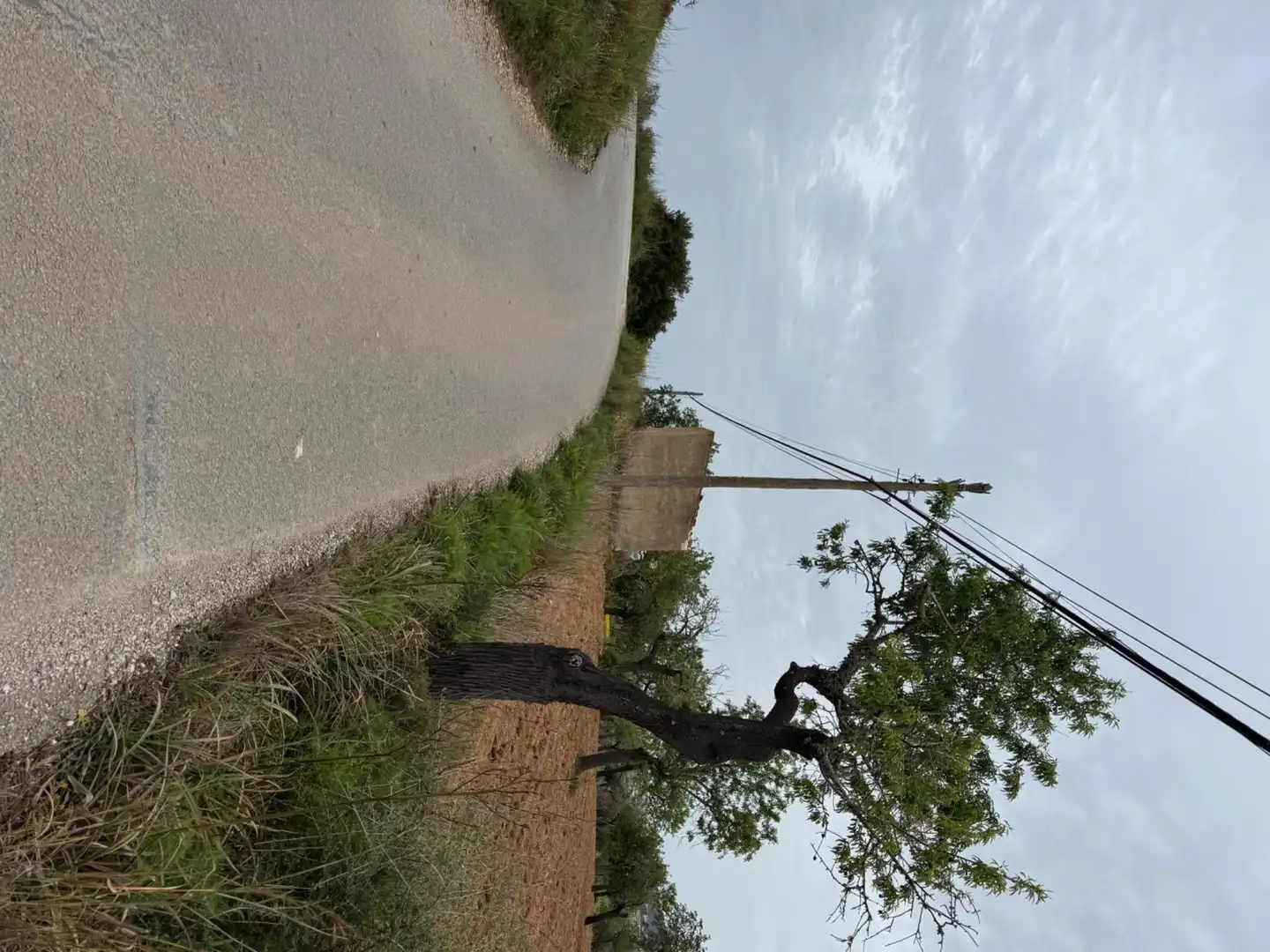 Rustikales Grundstück zum Verkauf in Camino Camí Vell de Porreres 2, imagen 20