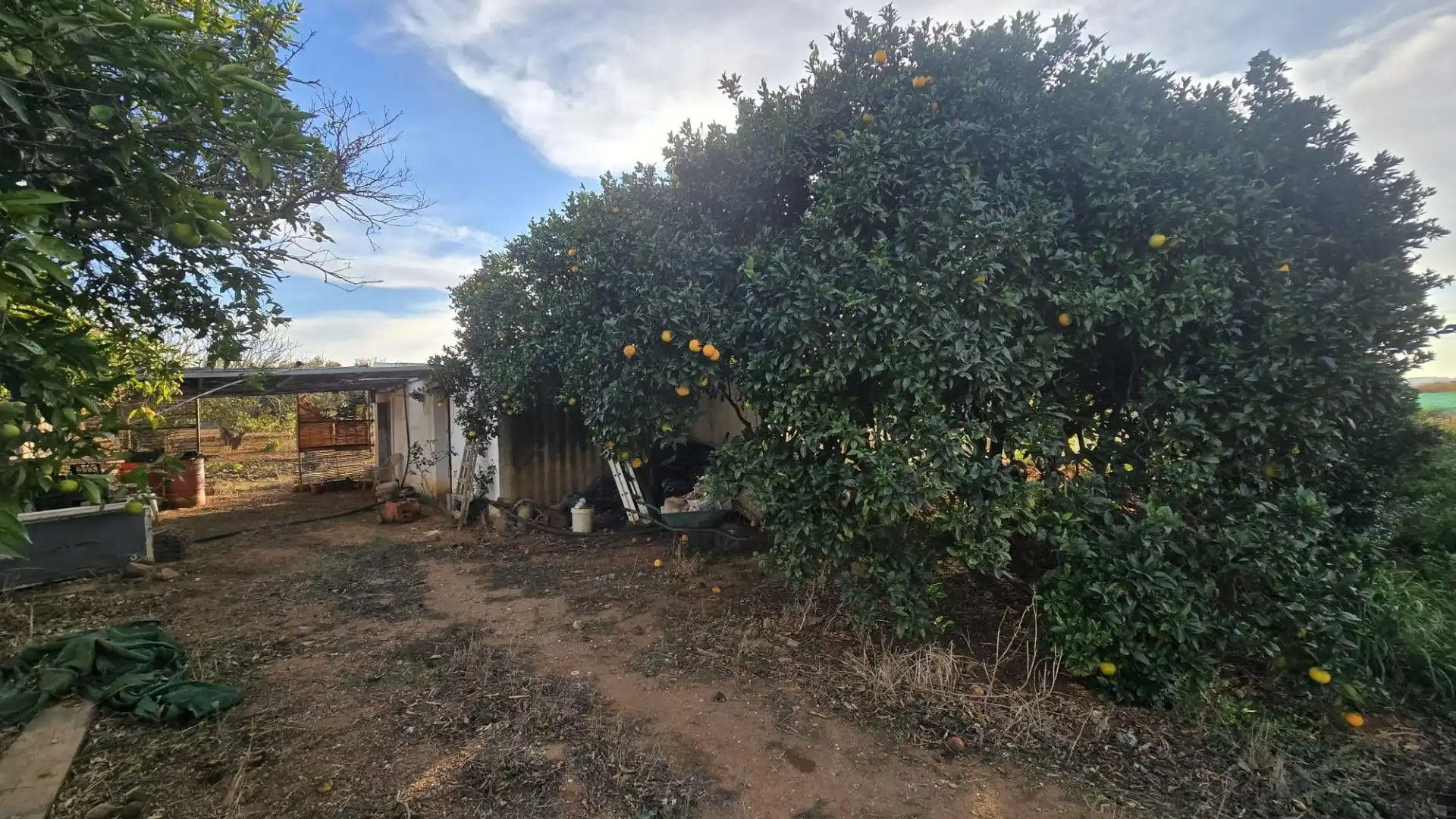 Land for sale in Los Franceses – La Vega
