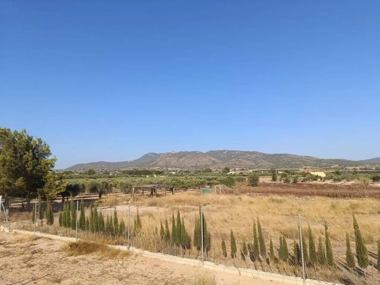 Residential land for sale in Sax, imagen 5