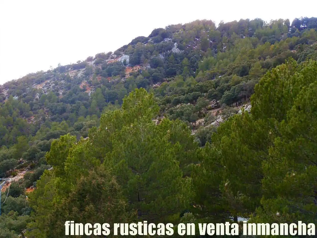 Terreni e lotti in vendita a Nerpio, imagen 12
